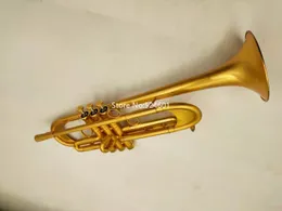 Ny ankomstbB trumpetborste guldpläterad gul mässingsklocka professionell musikinstrument med fodral