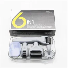 6 in 1 Derma Roller Kit for Face and Body - Face Massager 0.25mm and 0.3mm Micro Needle Dermaroller with 5 Replaceable Heads, Storage Case and Disinfection Tank