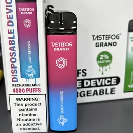 DX Tastefog Grand wiederaufladbarer Einweg-Vape 4000 Puffs elektronischer Zigaretten-Pod-Stift 2 % Nic