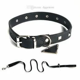 Designer-Hundehalsband-Leinen-Set mit umgekehrt dreieckigem Metallanhänger, klassisches Leder-Haustierhalsband für kleine, mittelgroße und große Hunde, Bulldogge, Pudel, Collie, Dackel, Schwarz B117