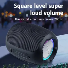 Nya bärbara högtalare Zealot S53 Mini Bluetooth -högtalare Trådlös kolonn Vattentät Hifi Lossless Sound Quality Stereo Subwoofer Högtalare