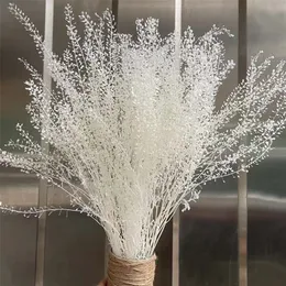 35-45cm /約40g装飾的な実質的な乾燥花保存ミニグリーンファンブーケ、eternelleドライスカラップの花、ホームインテリア220406