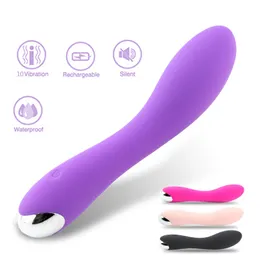 Leistungsstarkes Vibrator-Spielzeug, USB wiederaufladbar, 10 Geschwindigkeiten, stark, geräuschlos, wasserdicht, sicheres Spielzeug für Frauen, Körpermassagegerät