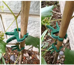 Patio Garden Supplies Green Gentle Gardening Plant Flower Lever Loop Gripper Clips Tool for Supporting Stems Stalks and Vines Garden