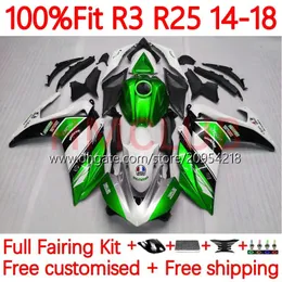 Yamaha YZFR3 YZF-R25 YZFR25 14-18 차체 30NO.122 YZF R 3 25 R3 R3 R25 14 15 16 17 18 2017 2017 2018 OEM Body Kit Green Silver