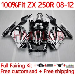 حقن قالب العفن OEM لجسم Kawasaki Ninja zx250r zx 250r zx250 08-12 هيكل العمل 34no.10 EX250 EX250R 08 09 10 11 12 ZX-25