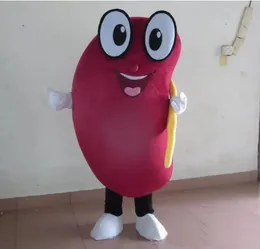 happy healthy kidney mascot costume for adult to wear for sale Halloween Costume kits Birthday Party