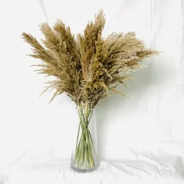 harvest 20 stems Dried Pampas Grass BouquetWedding DecorDried flowersChristmas Home DecorativeArtificial Flowers Y201020