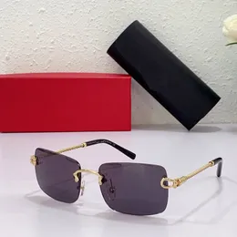 Fashion carti luxury Cool sunglasses Designer highend designer mens male metal frameless rectangular titanium lens coated blue eye protection polarizing gold
