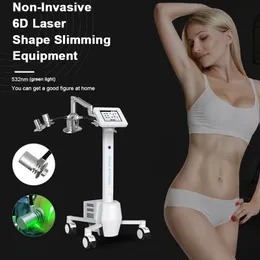 Şekil 6D Lipo Lazer Makinesi Satılık Yağ Azaltma Vücudunu Zayıflama Lipolazer Profesyonel Kilo Kaybı Güzellik Ekipmanları