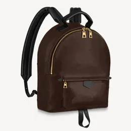 M44874 palm springs MM Backpack Women Luxury fashion brand designer backpack Size 28X33X16cm