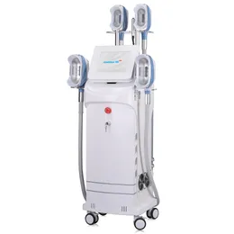 Kriolipoliza Cryolipo Cryolipolysie Cavitation RF Laser 360 Fat Freezing Criolipolisis Machine