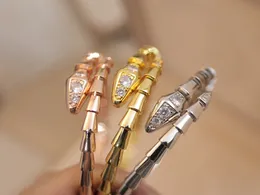 Дизайнерские змеи браслеты браслеты для паров любители свадеб Свадебный подарок с 925 серебряными 18 -каратными золотыми алмазными змеями мужчины женщины любят браслет