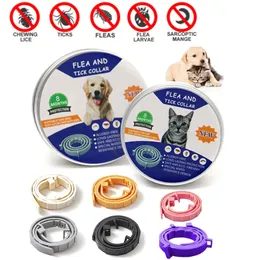 Adjustable Insect Repellent Dog And Cat Collars Anti-flea Tick Mosquito Repellents Personalized Collar Pet Supplies Accessories