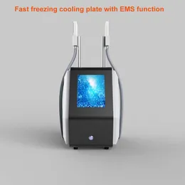 Bärbar EMS Cryo Plate Cryoterapy Slant Machine 4 Pads Cryolipolysis Body Massage Cellulite Reduction Fat Freezing Beauty Machines for Spa Use