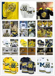 XFLSP 2022 대학 사용자 정의 미시간 울버린 하키 유니폼 43 Quinn Hughes Jerseys 19 Dylan Larkin Jersey 7 Nick Blankenburg 14 Josh Norris 10 Will