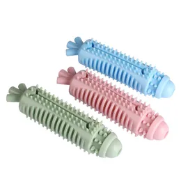 Nuovi giocattoli molari per animali domestici cani da masticare giocattolo per la pulizia dei denti di carota