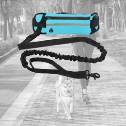 Dog Collarsリーシュリーシュ反射性耐久性襟リードロープポリエステルキャットポータブルウエストバグドッグ付きビッグスモールペットハーネス