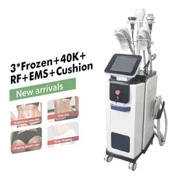 Красота EMS Cryo Slimming Machine Cryolipolisis Machine Cooltech Fat Freeze