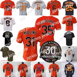 James Cal Ripken Jersey Austin Hays Cody Sedlock Robinson Murray Trey Mancini Ryan Mountcastle Cedric Mullins urias Rougned Oror Fry Rylan Bannon