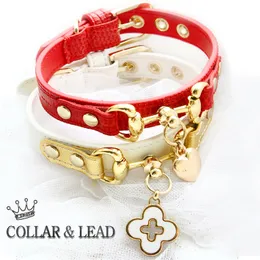 Dog Collar Leather Dog Leash Premium Real Calfskin Goldplated Buckle Red Lizard White Litchi Pattern Cat Pet Accessories 201101