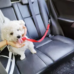 الياقات الكلاب المقودات PET Cat Leash وحزام مقعد السيارة 2 في 1 حبل السلامة الخلفية ثنائية الاستخدام القابل للتعديل