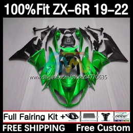 Spritzgusskörper für KAWASAKI NINJA ZX 636 600CC ZX636 19-22 Karosserie 6DH.12 ZX 6R ZX-6R ZX6R 19 20 21 22 Rahmen ZX-636 2019 2020 2021 2022 OEM-Verkleidungsset Perlgrün