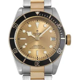 Часы Tudor zf-factory Роскошные часы для мужской механики Swiss Dituo Biwan Gold Steel Автоматические механические 18k 79733 Марка Реплика наручных часов