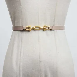 2022 Matte Small Belts Moda de couro feminino Todo decorativo da saia decorativa da cintura Cinturão de redução da idade Belta de alta moda da moda da moda