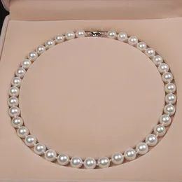 Colar de pérolas femininas Shell 4 Cores de colares de contas redondos para amor Acessórios de jóias de moda de namorada