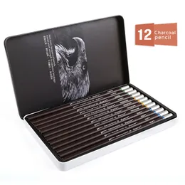 Superior 12st Professional Hard Medium Soft Sketch Charcoal Pencils Ritning av pennor som är inställda på skolstandardpennkonstförsörjning T200107
