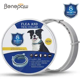 Benepaw فعالة 8 أشهر حماية الكلب طوق البراغيث قابلة للتعديل مقاوم للماء Cat Cat Control Control و Trick Collar 201030