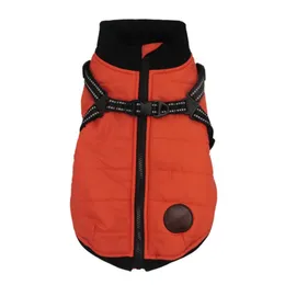 Abbigliamento per cani Inverno caldo gilet per animali domestici Cappotto con cerniera Cappotto Abbigliamento impermeabile per cani di taglia piccola e media Carlino Chihuahua Ropa Para PerrosDog