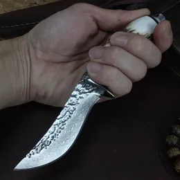 R7106 Damascus Survival Straight Hunting Knife Damascuss Steel Drop Point Blade Rog