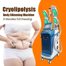 Ny ankomst fabrikspris 5 Handtag Cryolipolys 360 Degree Cooling Cryotherapy Kavitationsfett Frysning Body Slimming Cellulite Reduction System till salu
