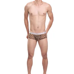 Underpants Sexy Men Underwear Mesh Boxer Shorts Leopard Transparent Mid-waist U Convex Pouch Panties Cueca Calzoncillos M-XXLUnderpantsUnder