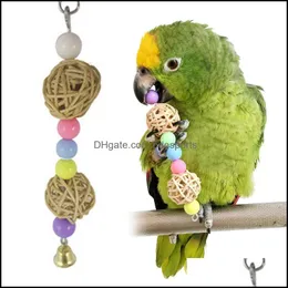 Rainbow Parroty Toys Parakeet Climb Chew zabawka ptak huśtawka dzwonek klatkę budgie wisząca drabina zapasy dla zwierząt upuszcza dostawa 2021 Inne dom g