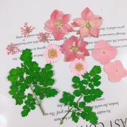 Fiori decorativi Ghirlande Colorate Vere piante di fiori secchi Resina epossidica per nail art Candela Sapone Creazione di gioielli Artigianato fai da te Acc