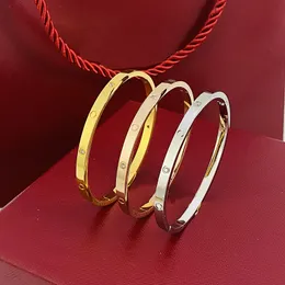 Luksusowy projektant biżuterii 4 mm cienkie srebrne bransoletki Banles for Women Men Titanium Złota Złota No Bracelets Bracelets Klasyczne miłośnicy Bransoletka bez pudełka 16-19cm