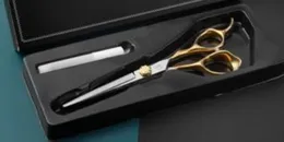 Haarschaarverzorgingsstyling Tools Producten Duitsland Jaguar 17 cm snijden/dunner worden 9cr 62HRC Hardheid Golden en sier handvat met retail g