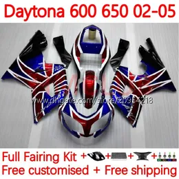 Motorradkarosserien für Daytona600 Daytona650 02–05 Karosserie 148Nr