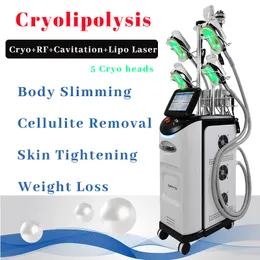 真空療法5 Cryo Heads Slimming Body Line RF Cavitation Machine脂肪凍結凍結凍結療法再構築尻減量スタンド機器