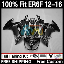 Spritzgusskörper für KAWASAKI NINJA 650R ER 6F ER-6F ER6 F 2012 2013 2014 2015 2016 Karosserie 11DH.65 650-R 650 R 2012-2016 ER6F 12 13 14 15 16 OEM-Verkleidung neu grau