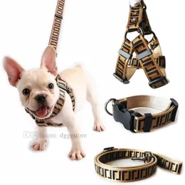 Designer hundkrage och kopplar Set Classic Letter Mönster Dog Harness Leash Nylon Pet Collar Chays för små medelstora stora hundar Bulldog Poodle Dachshund Brown B34