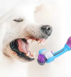 Strumenti di bellezza per cani Grooming Cucciolo di animale domestico a tre lati Pulizia spazzolino multi-angolo Pulizia orale Cane Salute dentale Forniture per toelettatura