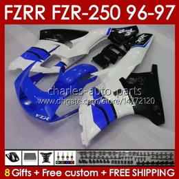 ヤマハFZRR FZRのフェアリング250R 250RR FZR 250 RR FZR250R 1997 1997 1997ボディ144NO.88 FZR-250 FZR250 RR 96 97 FZR250RR FZR250-R FZR-250R 96-97