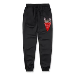 Spodnie joggingowe Mężczyźni gangster kotki dresowe sporne spodnie pociągowe hurtowe jogger streetwear gimnasty