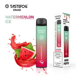 QK Tastefog 2% Nic Puff Bars 4000 Disposable Vape Pen 650mAh Rechargeable Battery Shenzhen OEM Manufacturer Wholesale with 10 eJuice Flavors