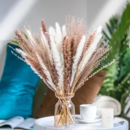 Ghirlande di fiori decorativi Ghirlande di canna essiccate naturali Pampas Spighe di grano Coda Erba Giunco PerDecorazione di nozze per feste PhragmiteDecorazioni decorative