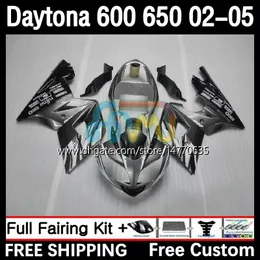 Zestaw ramowy dla Daytona 650 600 cm3 02 03 04 05 Bodywork 7dh.37 Cowling Daytona 600 Daytona650 2002 2003 2004 2005 Body Daytona600 02-05 Motocykl Rairing Srebrny szary